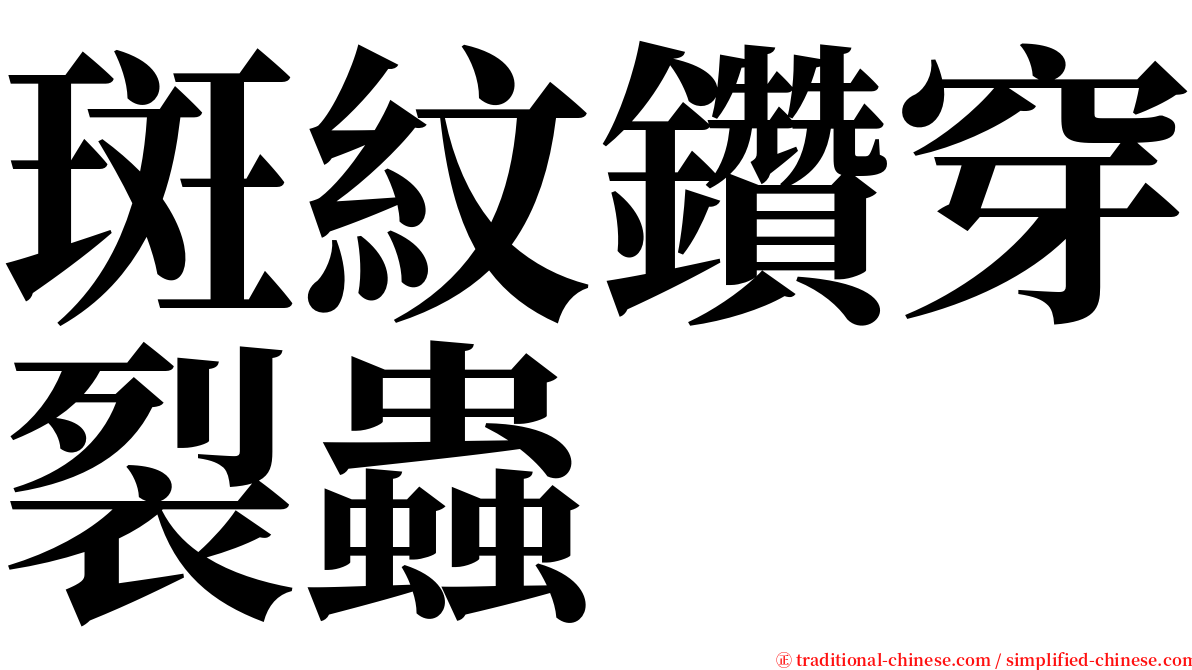 斑紋鑽穿裂蟲 serif font