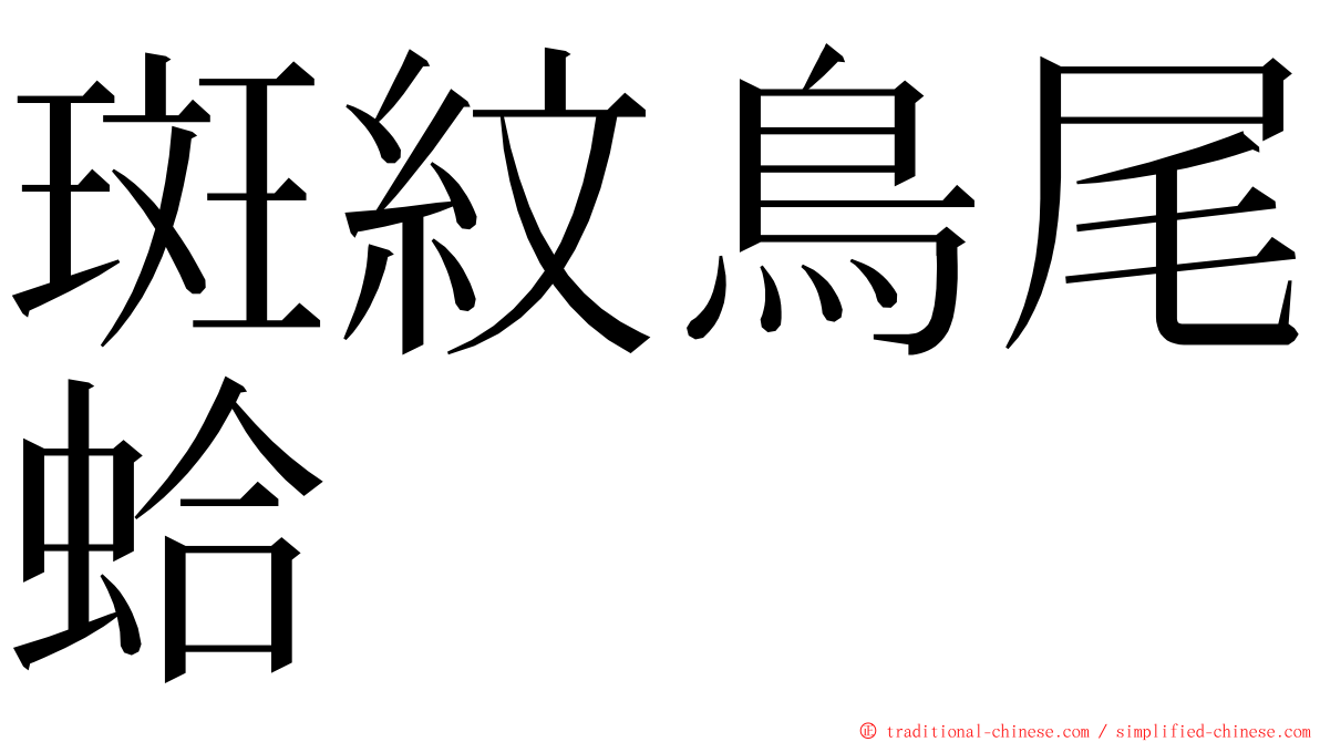 斑紋鳥尾蛤 ming font