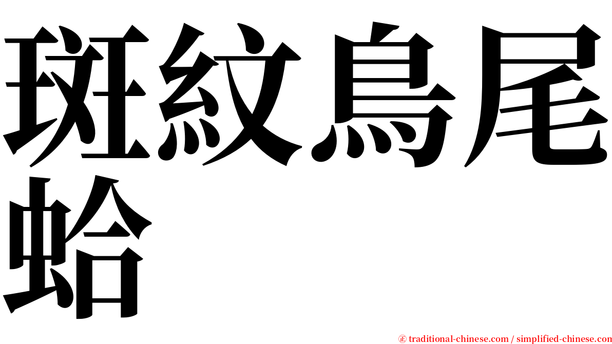 斑紋鳥尾蛤 serif font