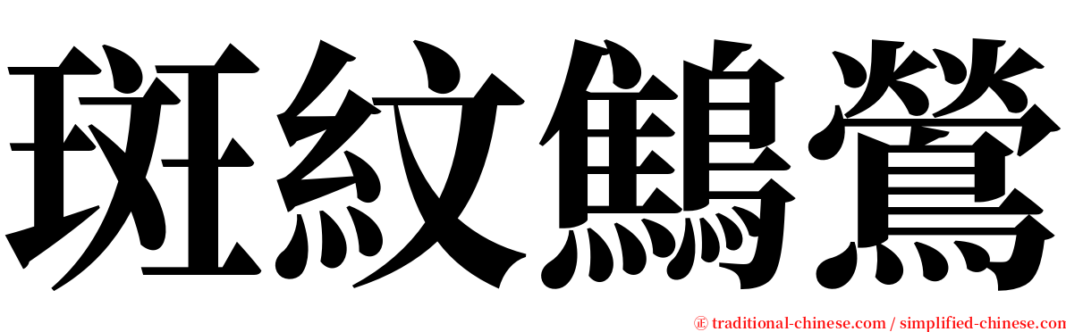 斑紋鷦鶯 serif font