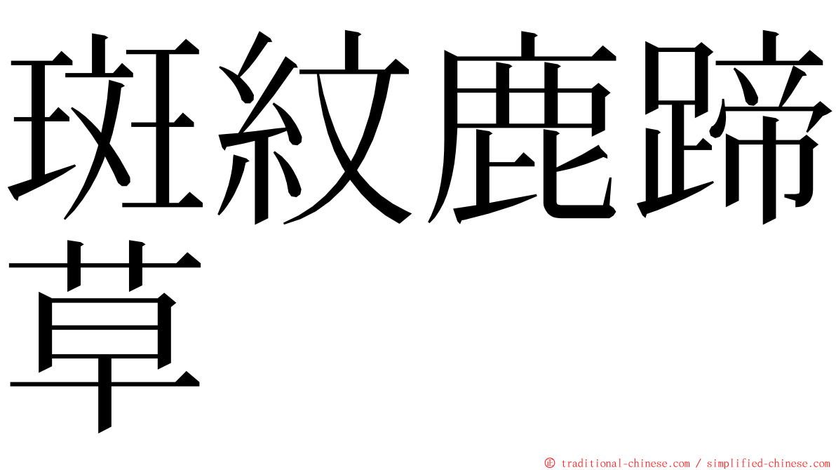 斑紋鹿蹄草 ming font