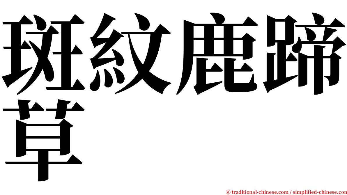 斑紋鹿蹄草 serif font