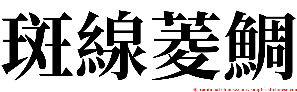 斑線菱鯛 serif font