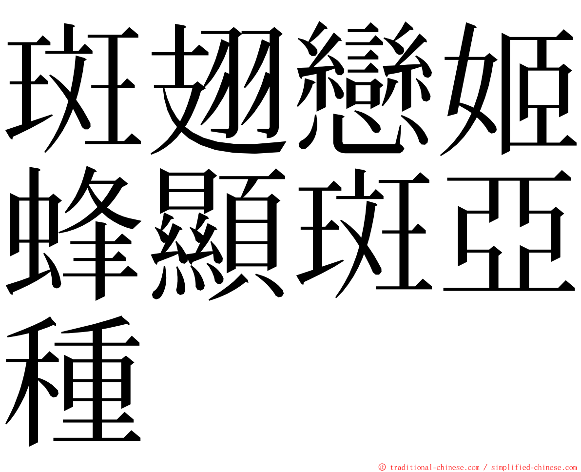 斑翅戀姬蜂顯斑亞種 ming font