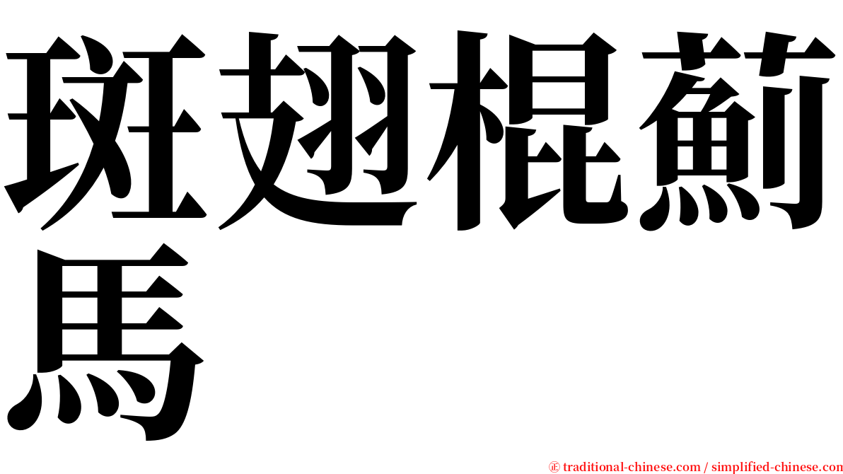 斑翅棍薊馬 serif font