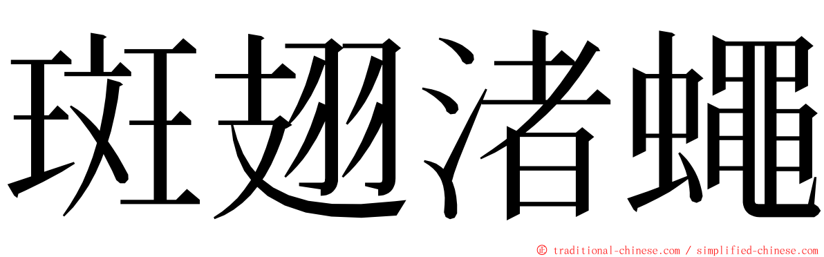 斑翅渚蠅 ming font