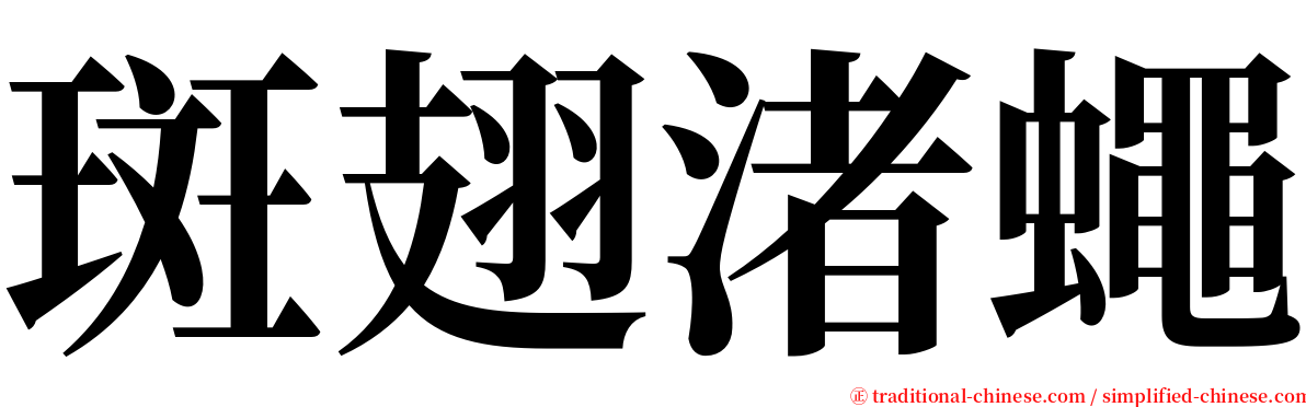 斑翅渚蠅 serif font