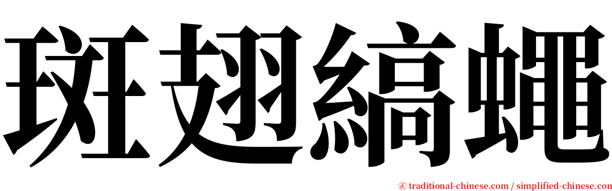 斑翅縞蠅 serif font