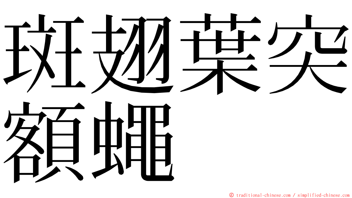 斑翅葉突額蠅 ming font