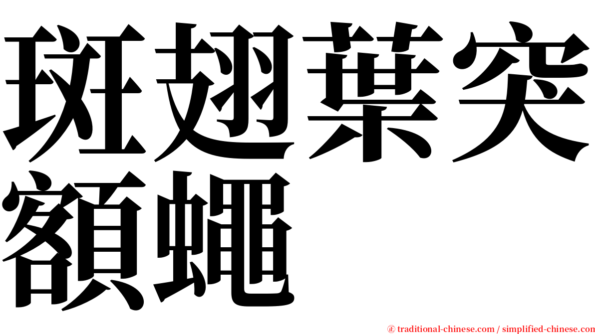 斑翅葉突額蠅 serif font