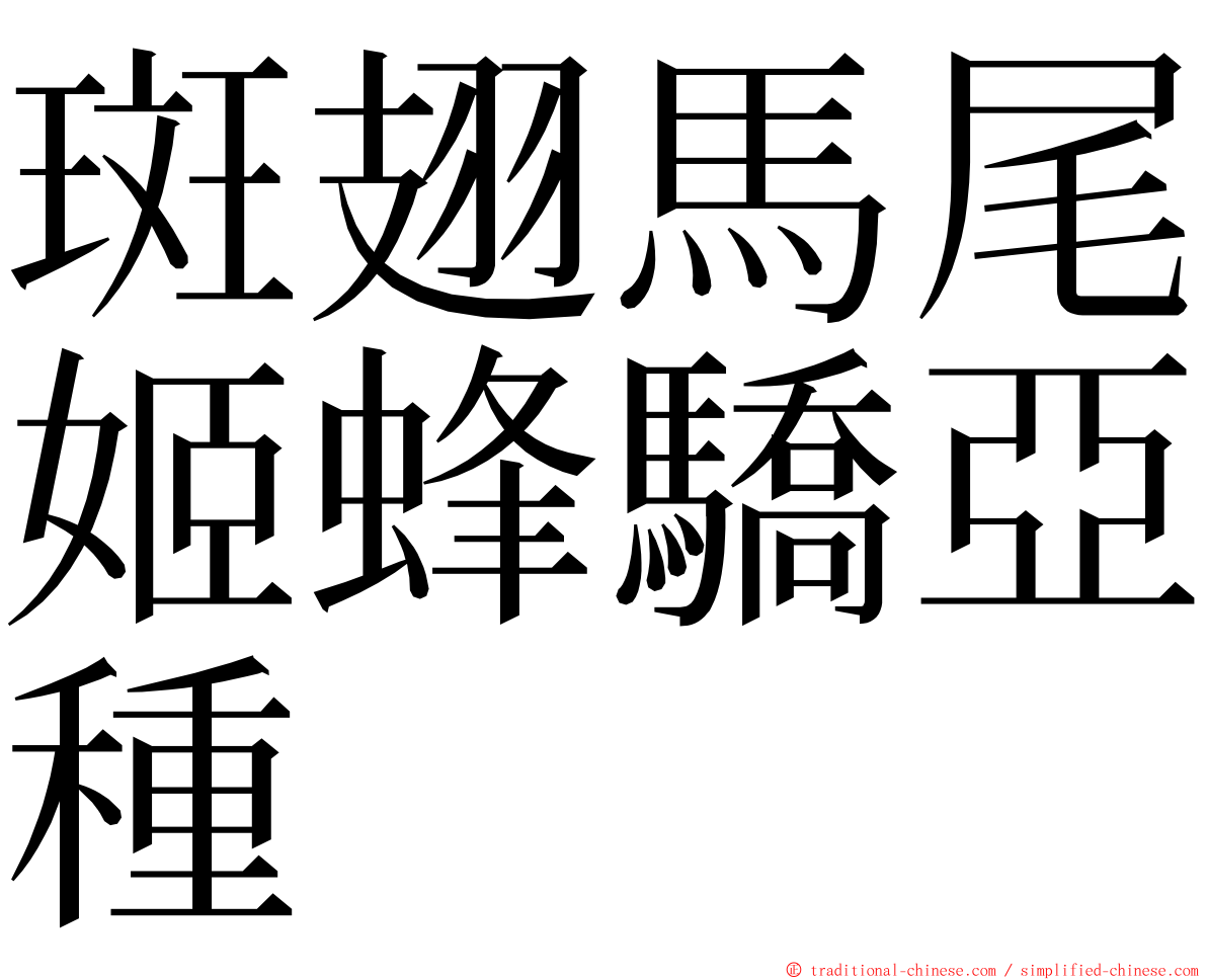 斑翅馬尾姬蜂驕亞種 ming font