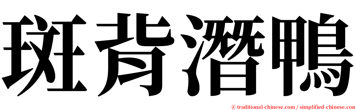 斑背潛鴨 serif font