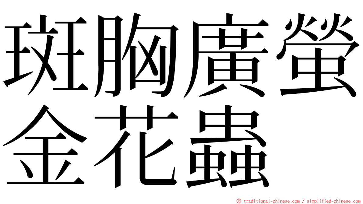 斑胸廣螢金花蟲 ming font