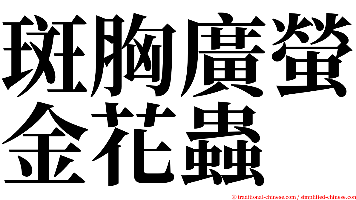 斑胸廣螢金花蟲 serif font