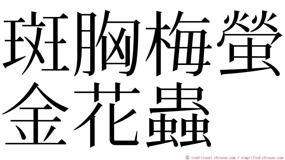 斑胸梅螢金花蟲 ming font