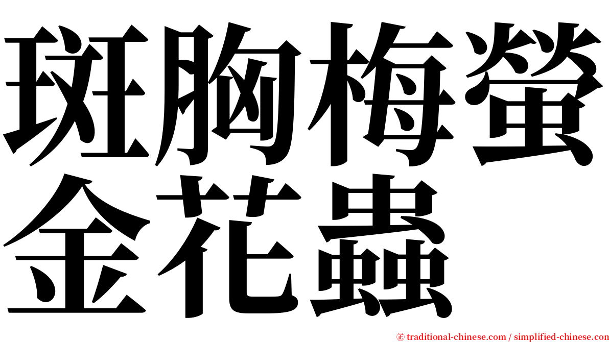 斑胸梅螢金花蟲 serif font