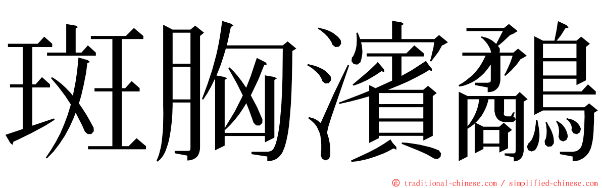 斑胸濱鷸 ming font