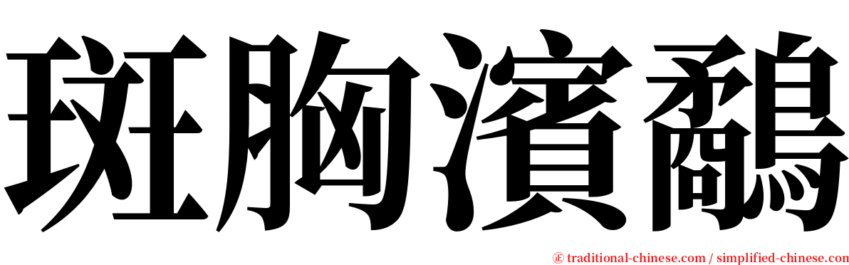 斑胸濱鷸 serif font