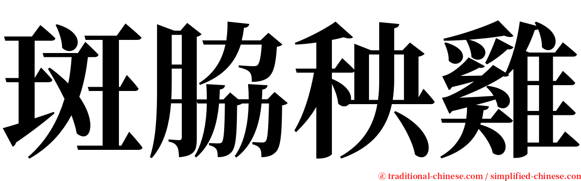 斑脇秧雞 serif font