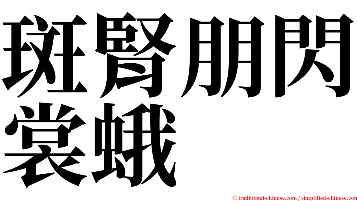 斑腎朋閃裳蛾 serif font