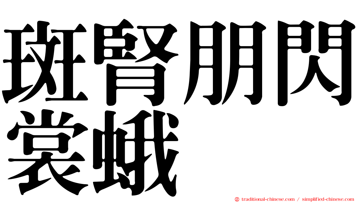 斑腎朋閃裳蛾