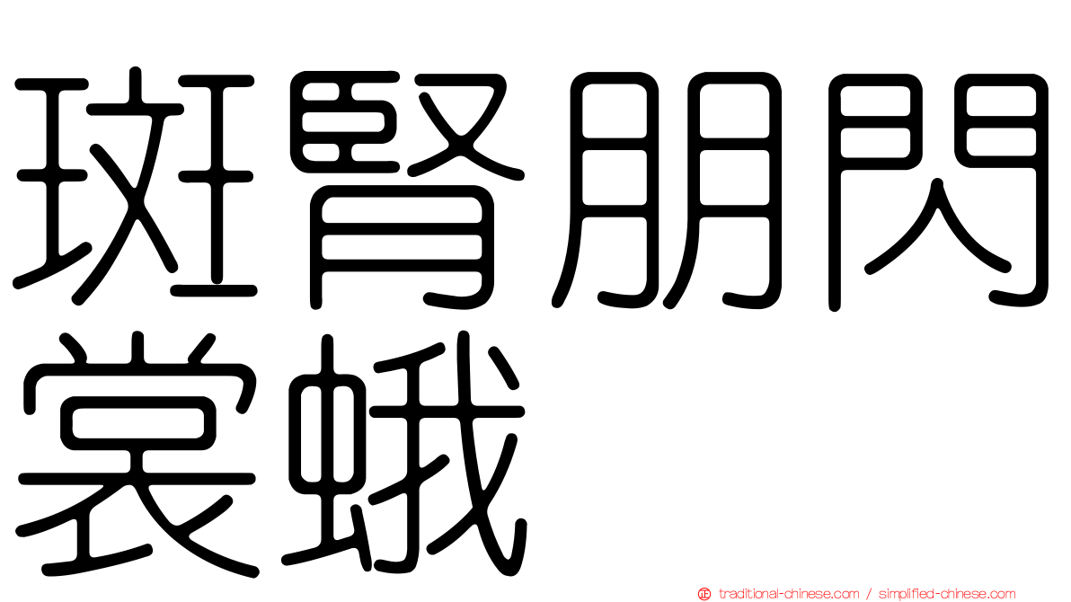 斑腎朋閃裳蛾