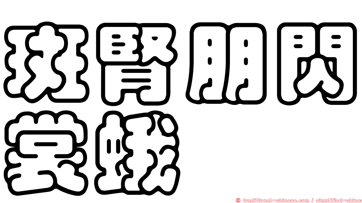 斑腎朋閃裳蛾