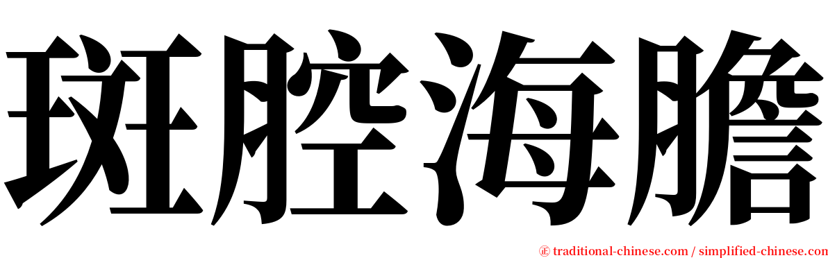 斑腔海膽 serif font