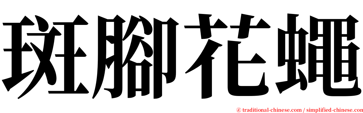 斑腳花蠅 serif font