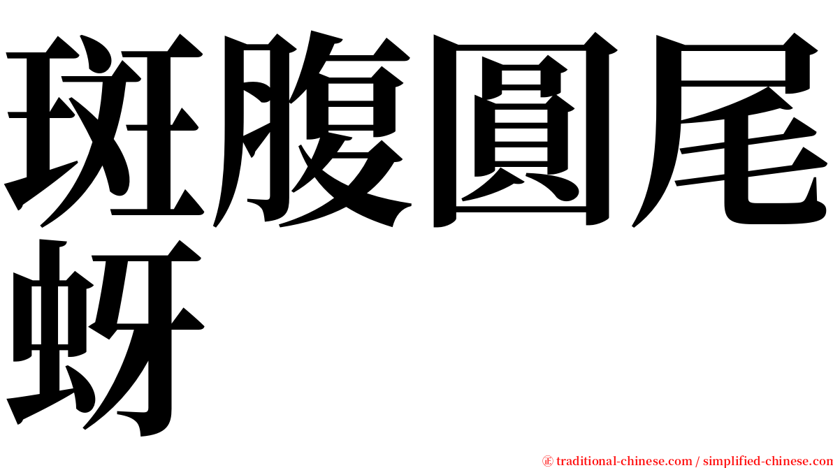 斑腹圓尾蚜 serif font