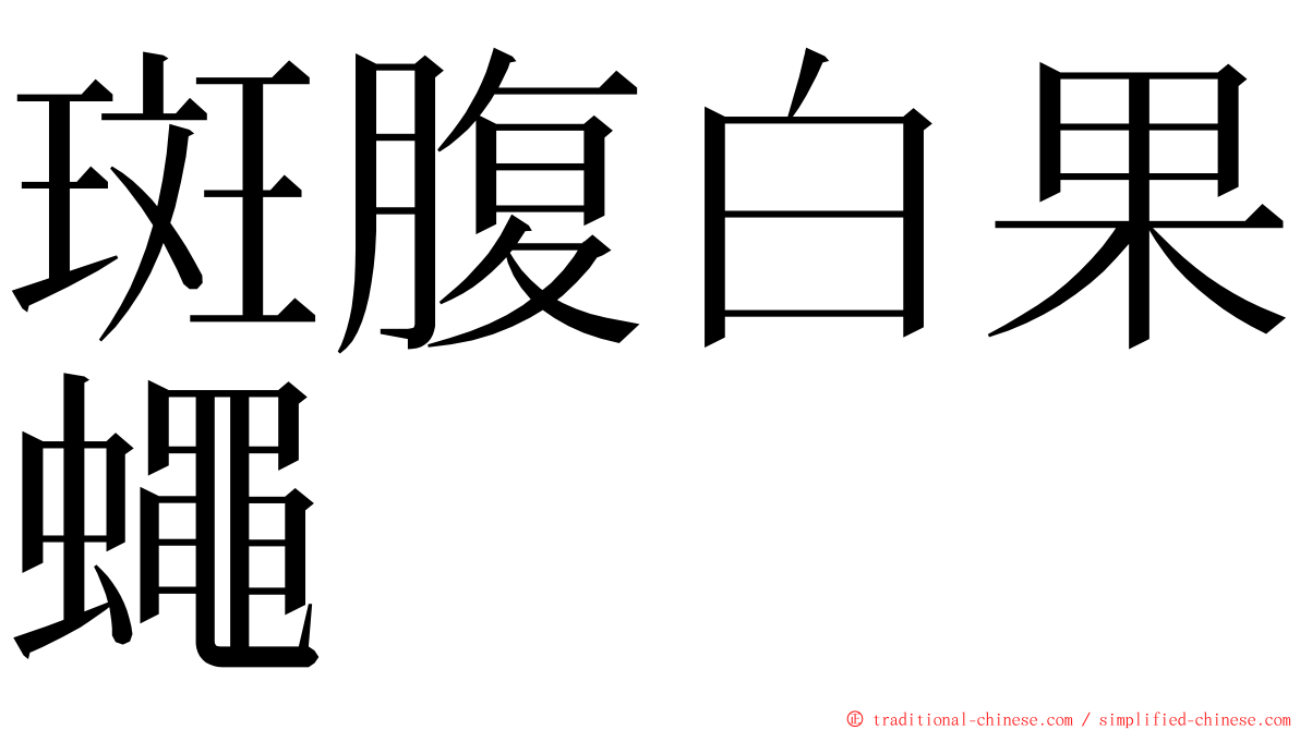 斑腹白果蠅 ming font