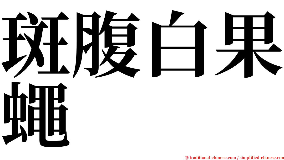 斑腹白果蠅 serif font