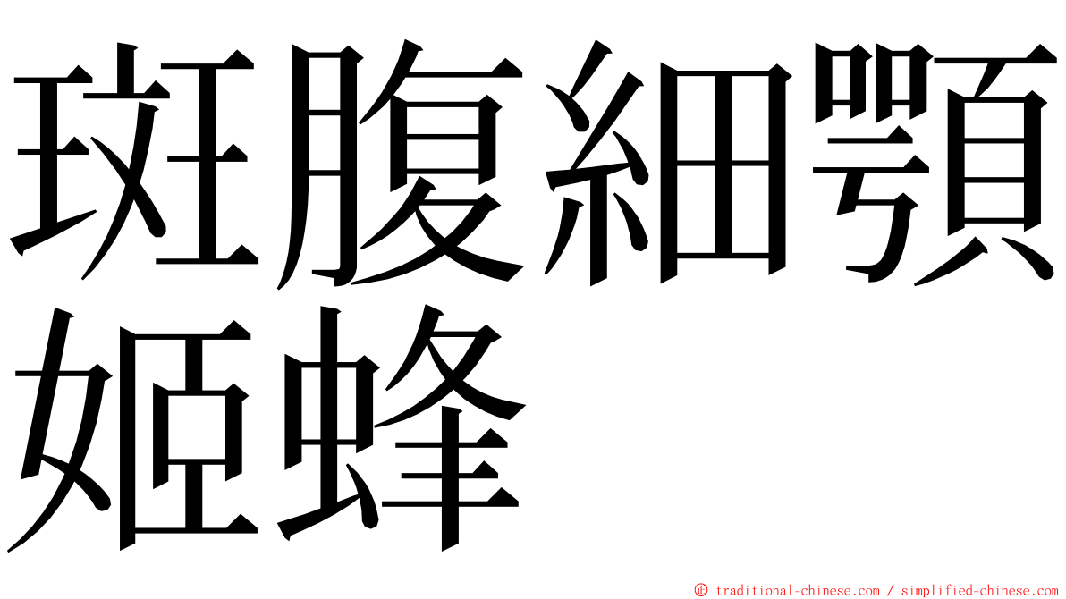 斑腹細顎姬蜂 ming font