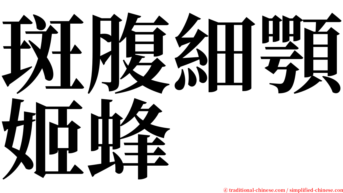 斑腹細顎姬蜂 serif font