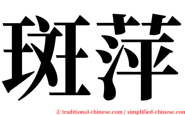 斑萍 serif font