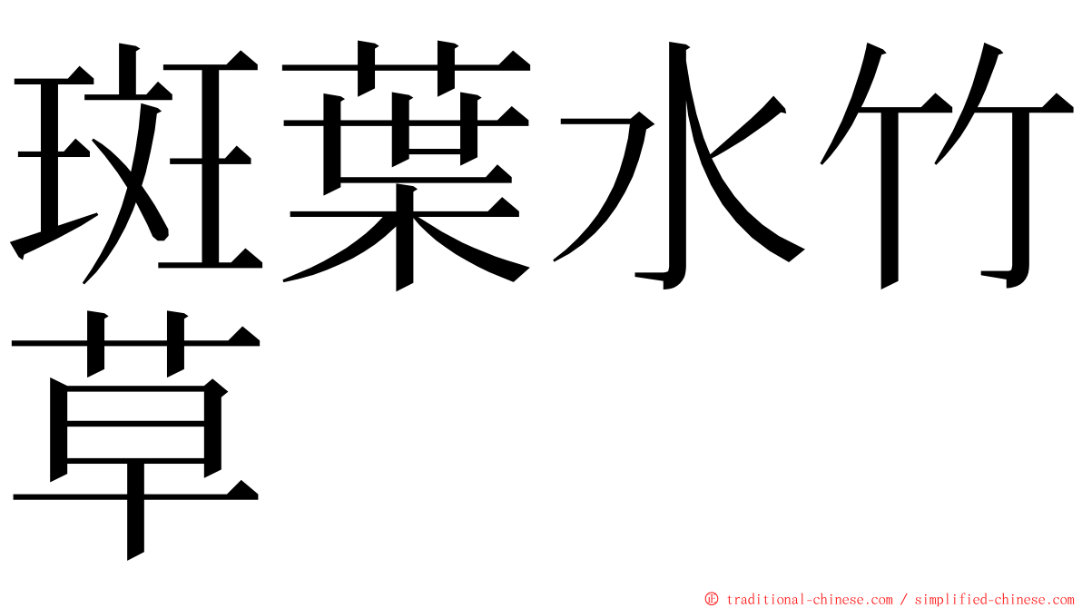 斑葉水竹草 ming font