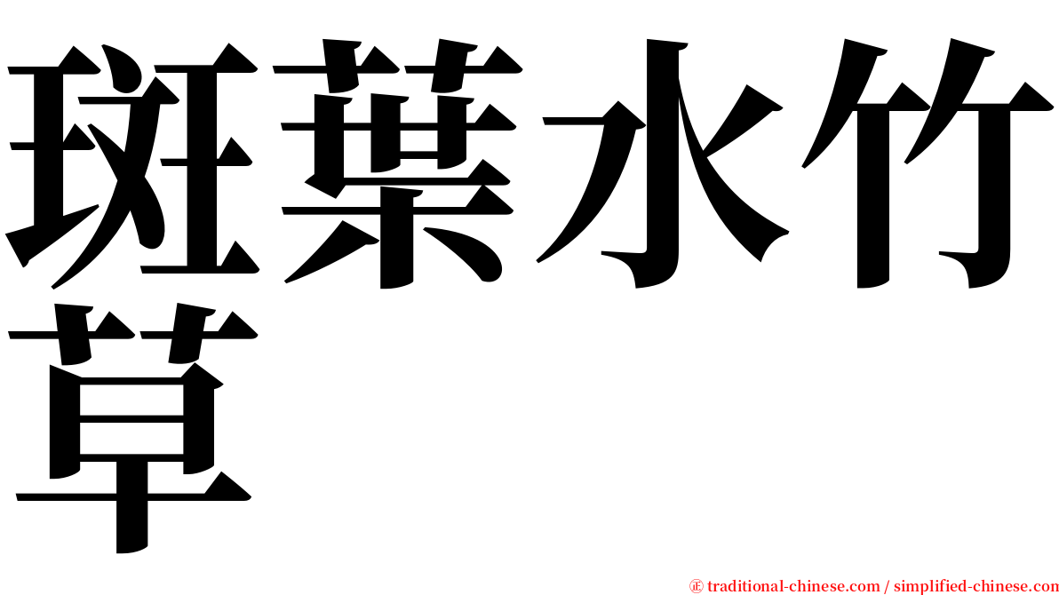 斑葉水竹草 serif font