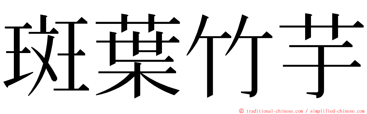 斑葉竹芋 ming font