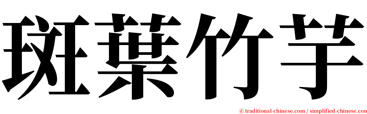 斑葉竹芋 serif font