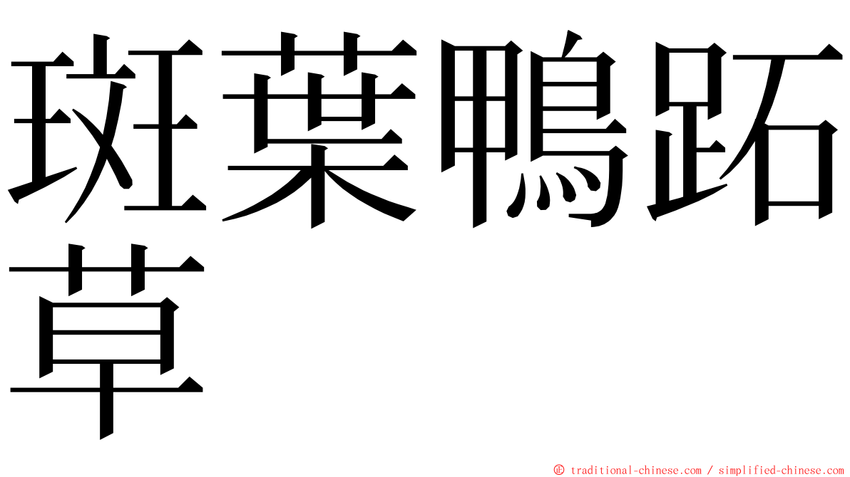 斑葉鴨跖草 ming font