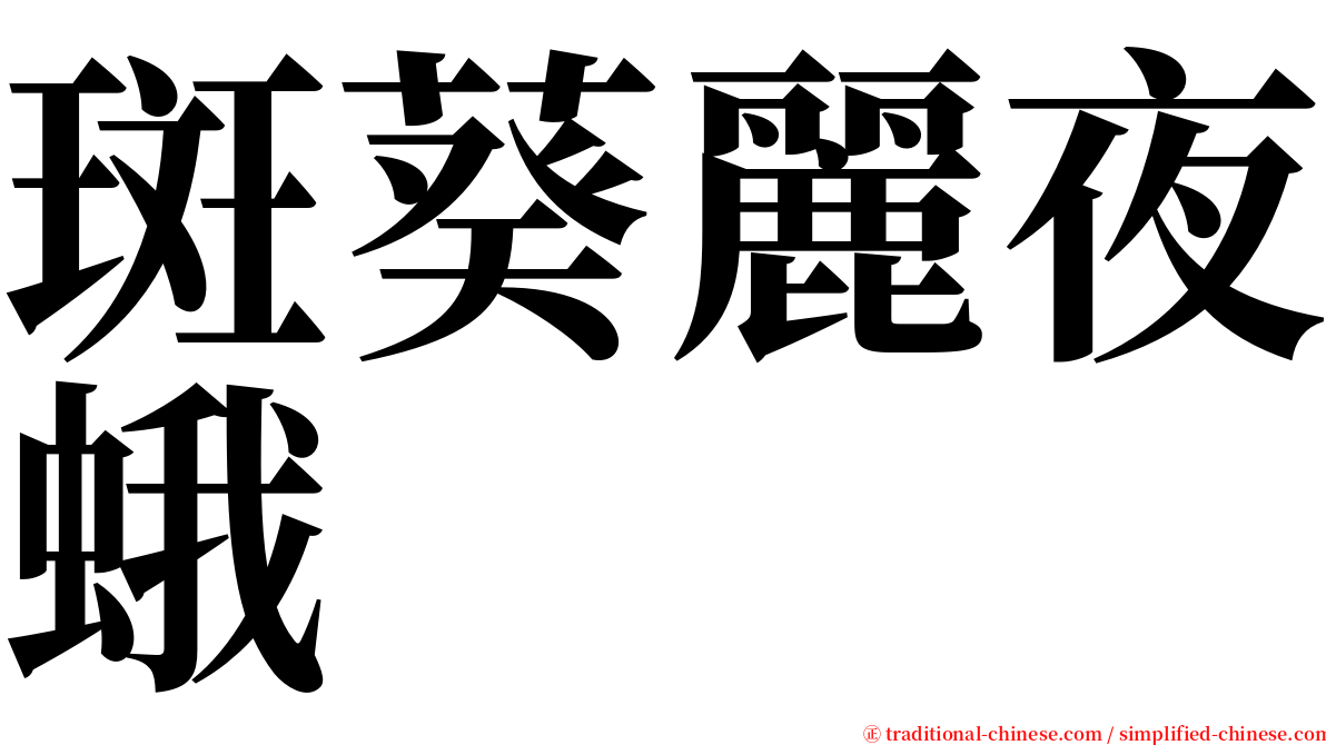 斑葵麗夜蛾 serif font