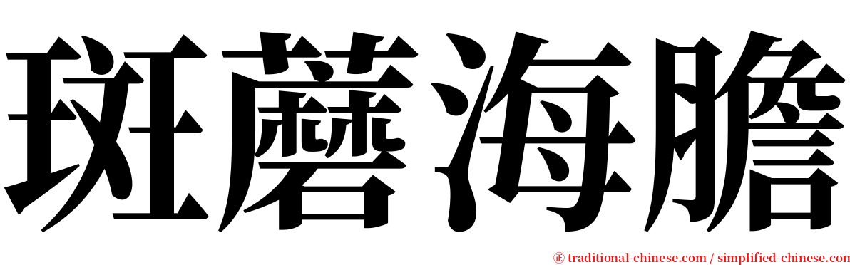 斑蘑海膽 serif font