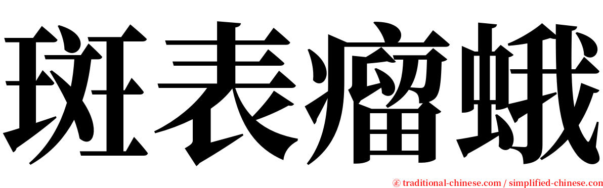 斑表瘤蛾 serif font