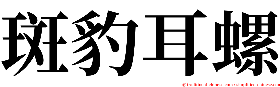 斑豹耳螺 serif font