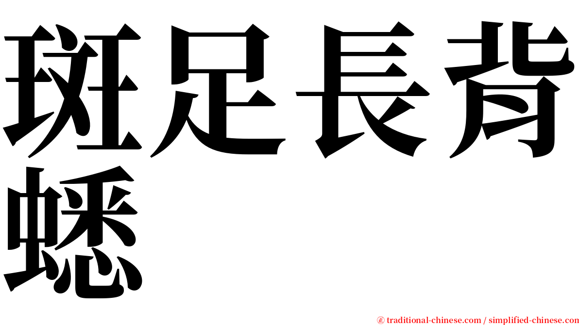 斑足長背蟋 serif font