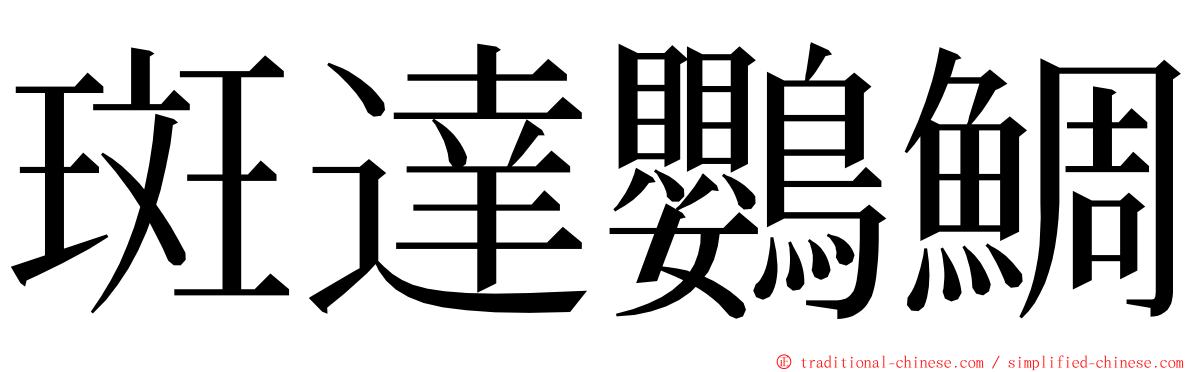 斑達鸚鯛 ming font