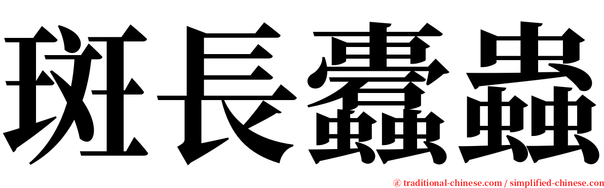 斑長蠹蟲 serif font