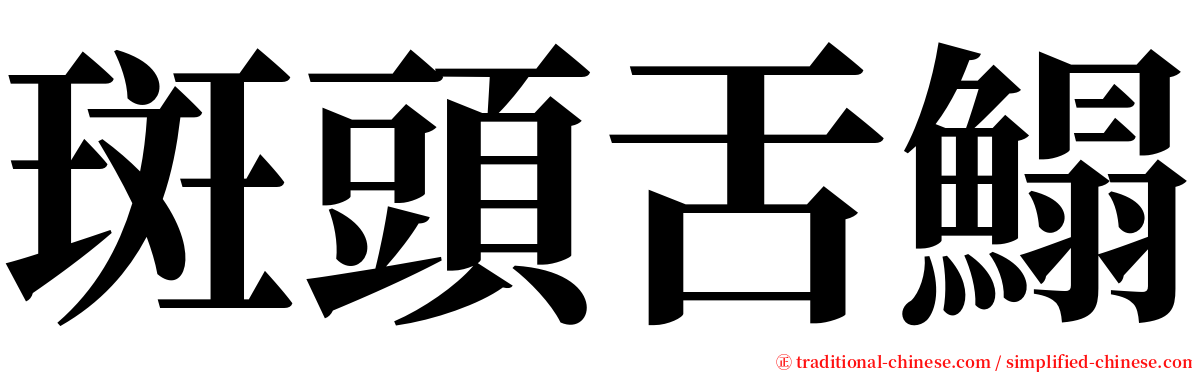 斑頭舌鰨 serif font