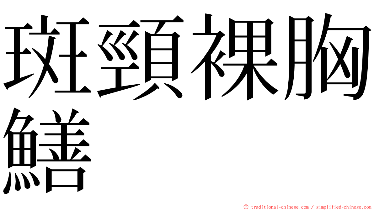 斑頸裸胸鱔 ming font