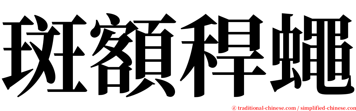 斑額稈蠅 serif font